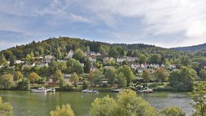 Image of Hotel Neckarlux