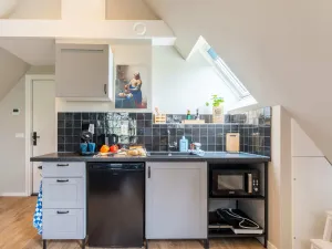 Image of Romantic Studio in Stellendam With Terrace