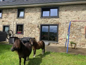 Image of Holiday home in Waimes with natural surroundings