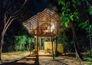 Image of Back of Beyond - Pidurangala
