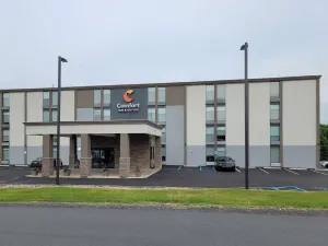 Image of Comfort Inn & Suites Wyomissing-Reading