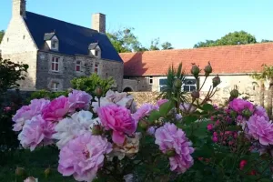 Image of Renovated 18th Century Norman Manor House