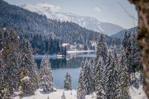 Image of Arabella Alpenhotel am Spitzingsee, a Tribute Portfolio Hotel