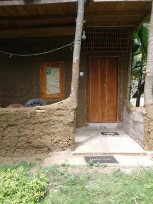Image of Green leaf cabanas