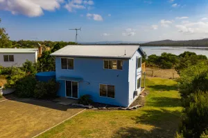 Image of The Blue House