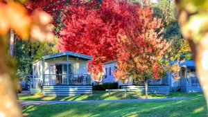 Image of Beechworth Lake Sambell Caravan Park