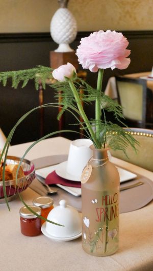 Image of Au Coeur de Bordeaux B&B