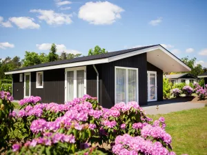 Image of Modern chalet on the pond in a holiday park