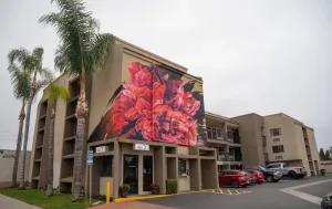 Image of Hotel Milagro