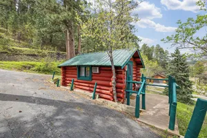 Image of Ponderosa Pines