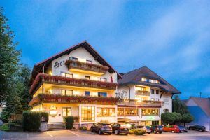 Image of Hotel Krone Igelsberg