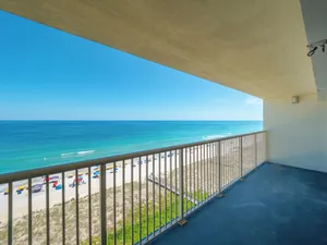 Image of Pelican Watch #806