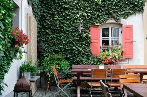 Image of Hotel Schwarzes Ross