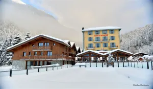 Image of Excelsior Chamonix Hôtel & Spa