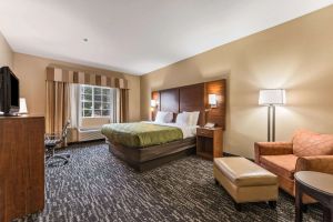 Image of Quality Inn & Suites Hendersonville - Flat Rock