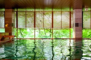 Image of Ooedo Onsen Monogatari Premium Kinugawa Kanko Hotel