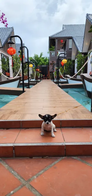 Image of Coco Bungalows Hoi An