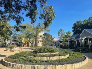 Image of Hill Country Herb Garden
