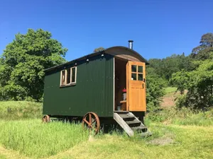 Image of Cosy Woodland off Grid Shepherds Hut - Rowan