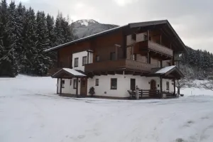 Image of Apartment in Mittersill Near Ski Slopes