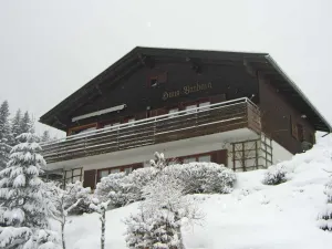 Image of Cozy Holiday Home in Egg near Ski Area