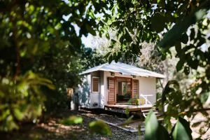 Image of The Little Bush Hut
