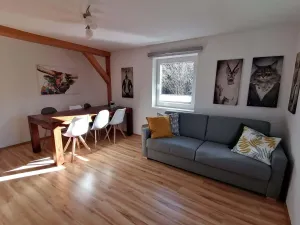 Image of Apartment in Dienten near Gabühel Ski Lift