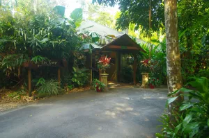 Image of Heritage Lodge - in the Daintree