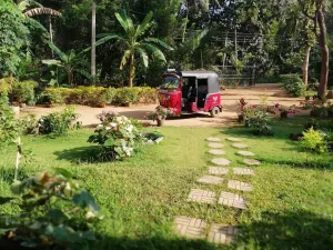Image of Homely Guest