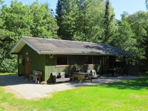 Image of 4 person holiday home in Hals