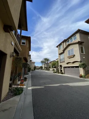 Image of Olive Glen