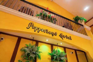 Image of The Pepperland Hotel