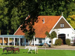 Image of Cosily Chalet With gas Fireplace in Twente