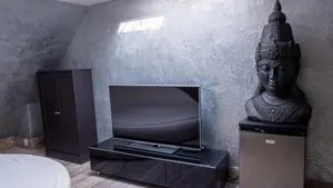 Image of Buddha Hotel Zuchwil Self-Check In Boutique Hotel