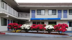 Image of Motel 6-Springfield, OR - Eugene North
