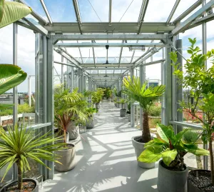 Image of Zoku Amsterdam