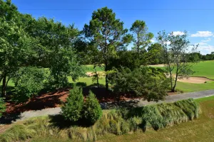 Image of Wedgewood #124