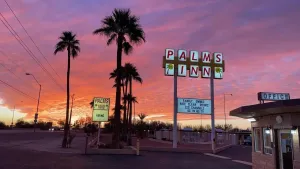 Image of Palms Inn