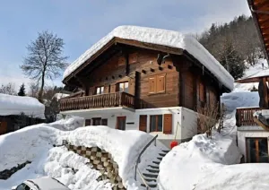 Image of Stachelbeere OG