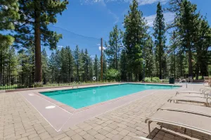 Image of Mammoth Green 105