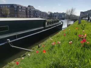 Image of B&B B³ Boat