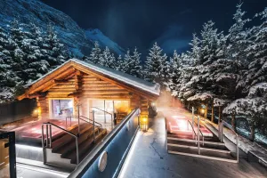 Image of Wellness Hotel Alpenhof