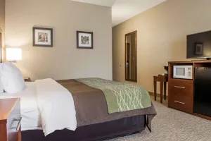 Image of Comfort Inn Edinburg South