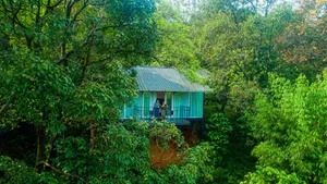 Image of Wayanad Wild - A CGH Earth Experience