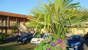 Image of Abel Hôtel