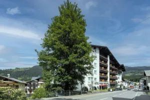 Image of Q! Hotel Maria Theresia