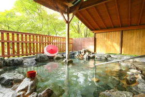 Image of Ooedo Onsen Monogatari Hotel Kinugawa Gyoen
