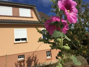 Image of Jolie halte normande