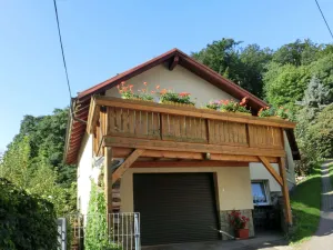 Image of Meadow View Cottage in Winterstein Thuringia near Ski Area