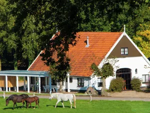 Image of Chalet in Ootmarsum With Garden